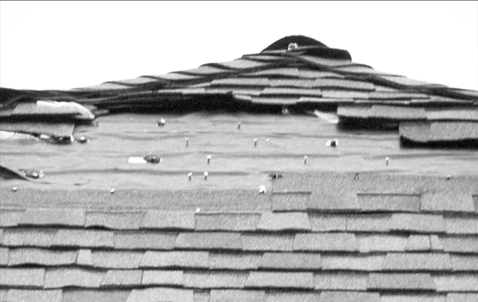Wind-torn roof ridge with the shingles peeled back and the roofing nails left standing exposed