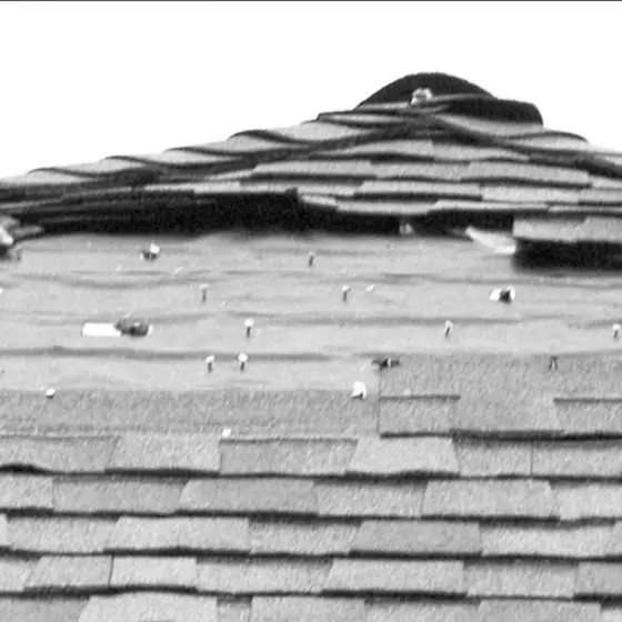 Wind-torn roof ridge with the shingles peeled back and the roofing nails left standing exposed